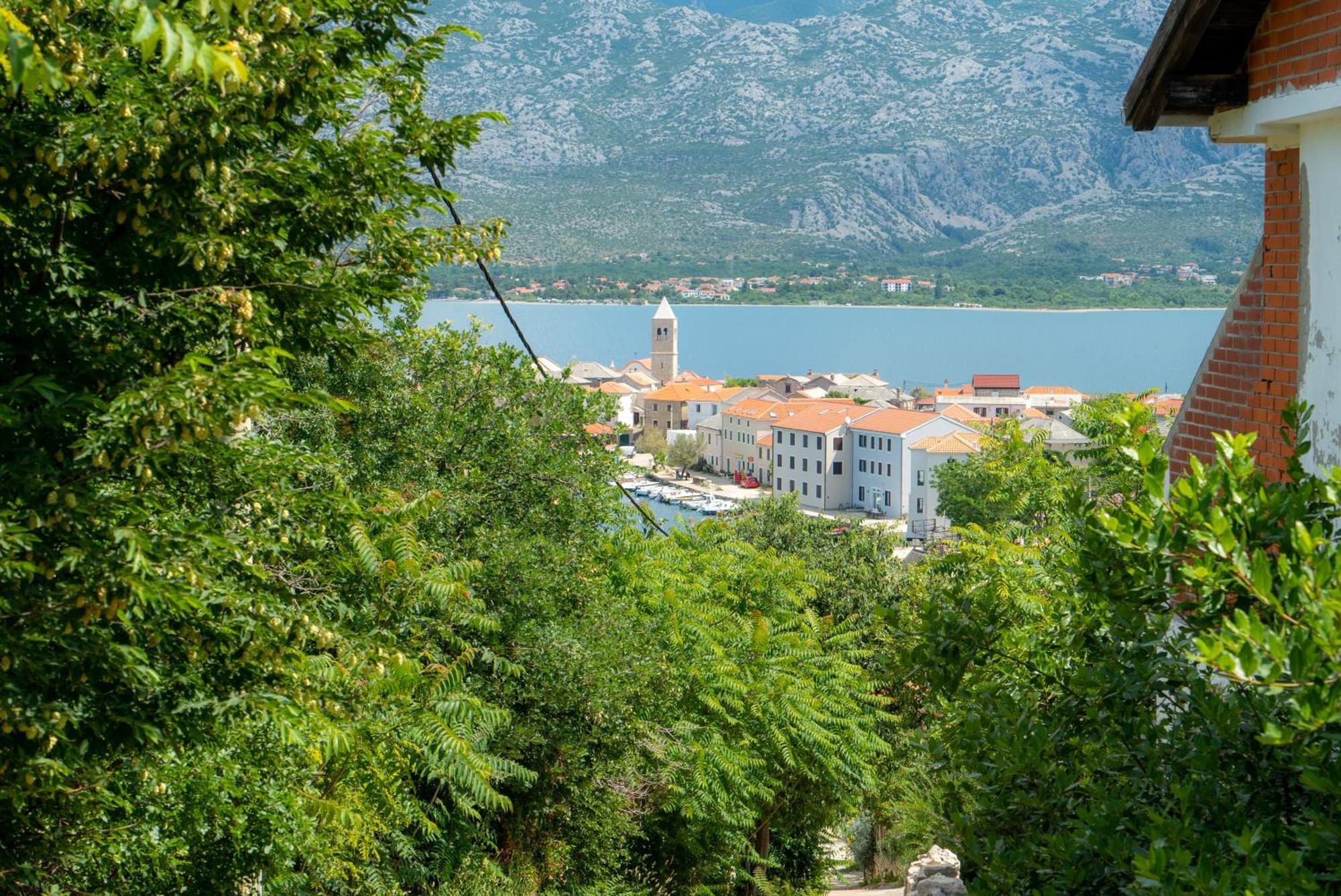 Apartman Marin Vinjerac Εξωτερικό φωτογραφία